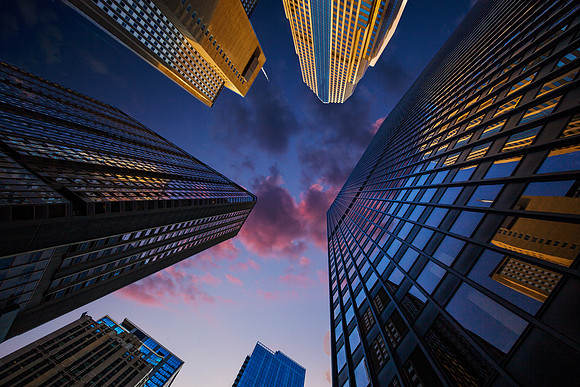 Looking Up #2