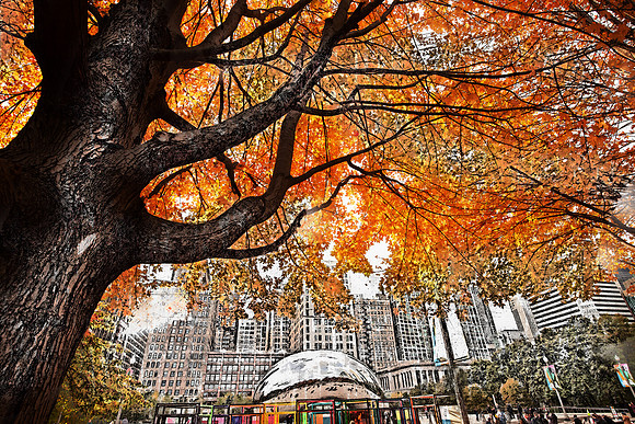Millenium Park Photo-Sketch #1